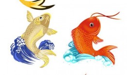 鲤鱼漫画,穿越时空的奇幻冒险之旅