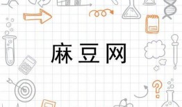 韩国麻豆网,揭秘韩国时尚界的网络新势力